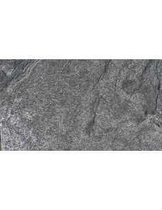 Silver Grey 2